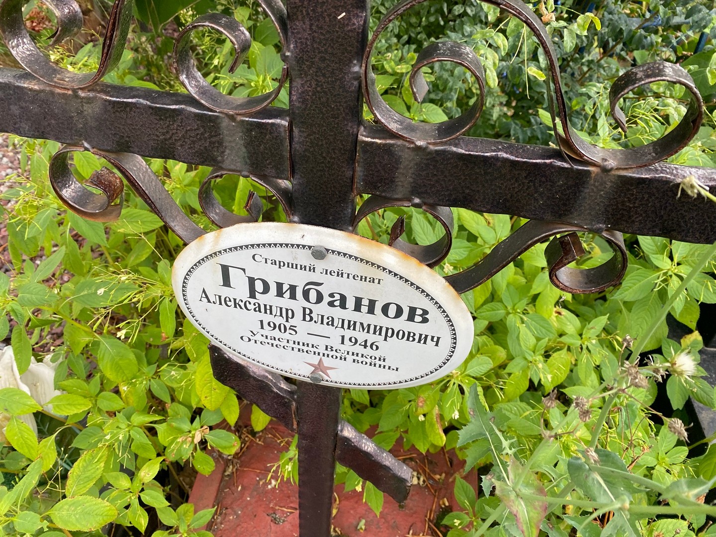 Грибанов