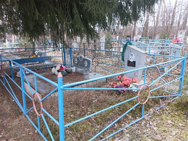 Дмитриева Елена Васильевна