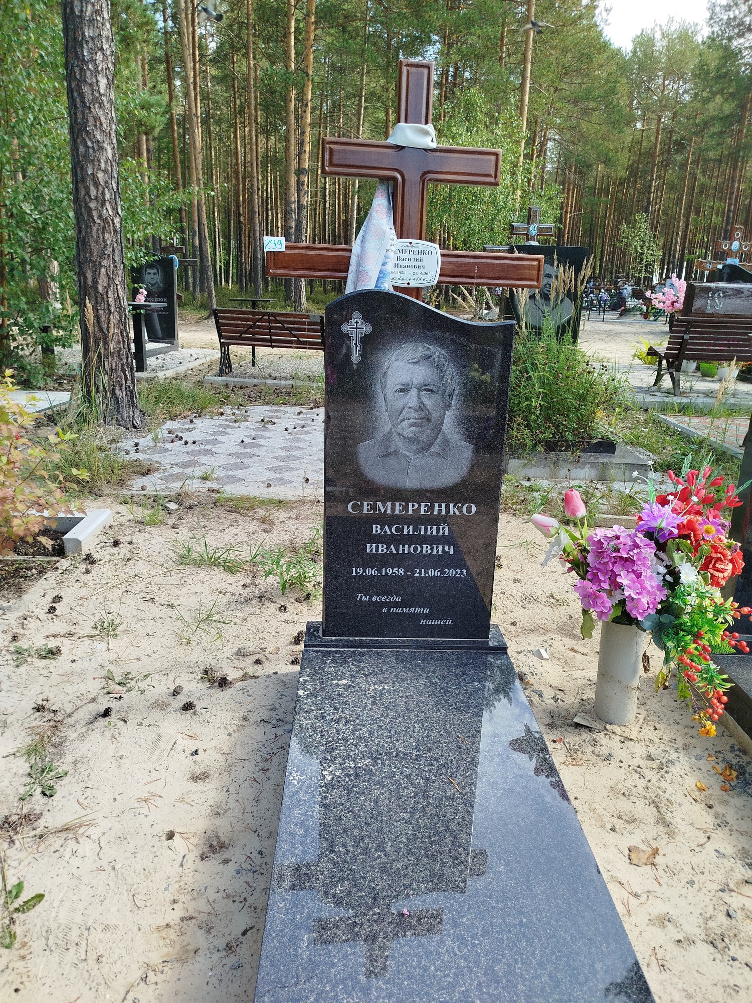 Семеренко Василий Иванович