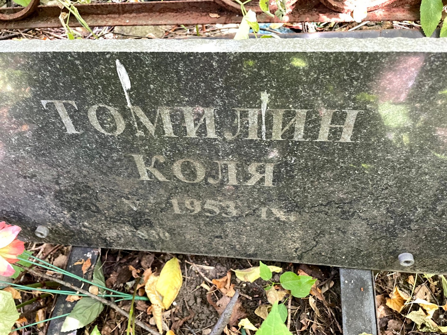 Томилин Томилин