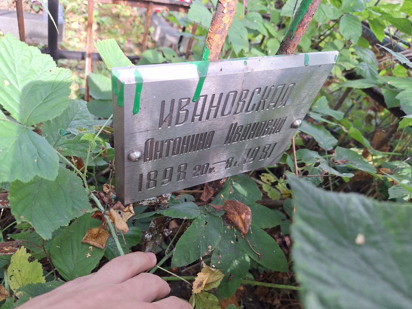 Ивановская Антонина Ивановна