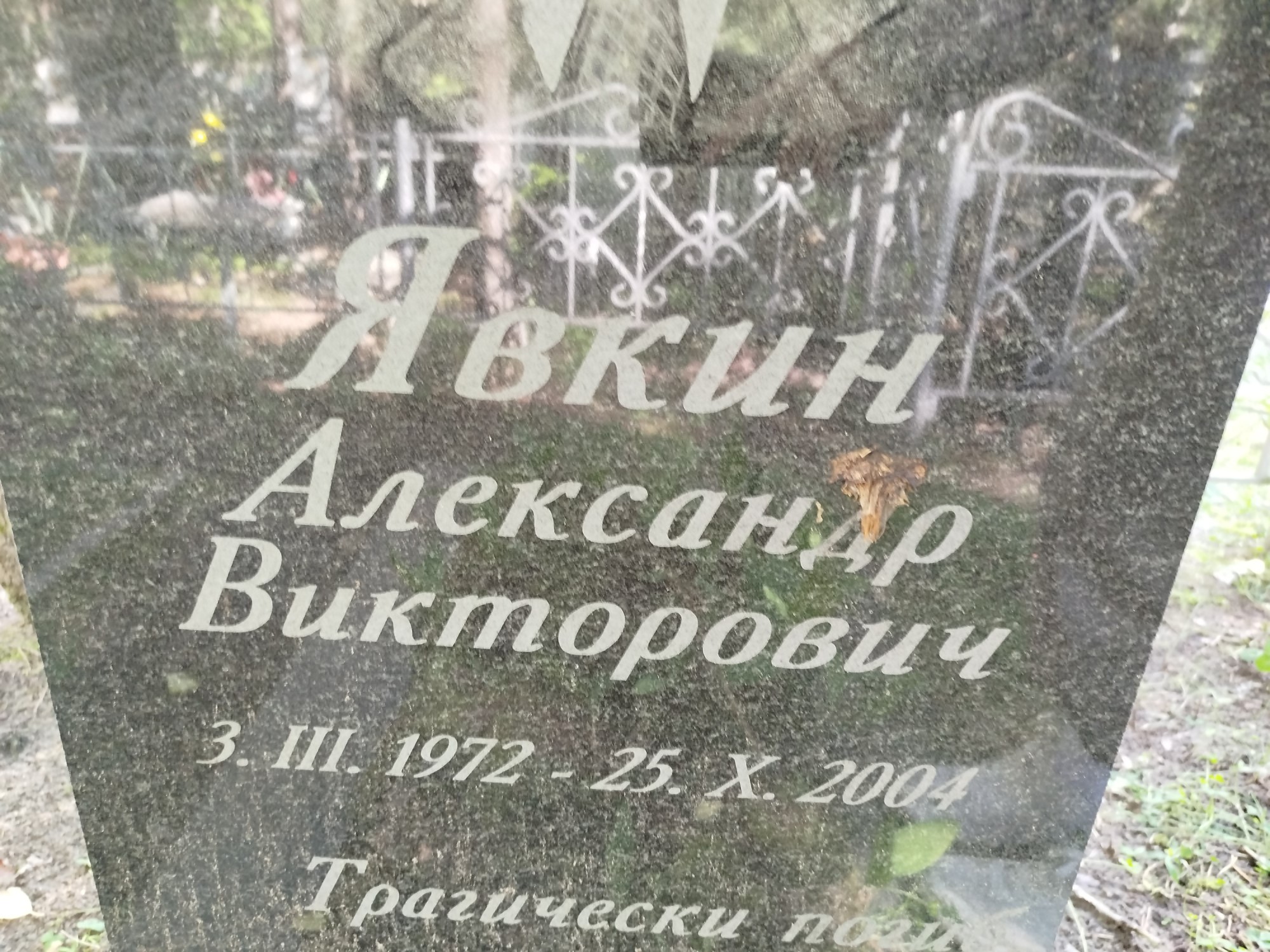 Явкин Александр Викторович