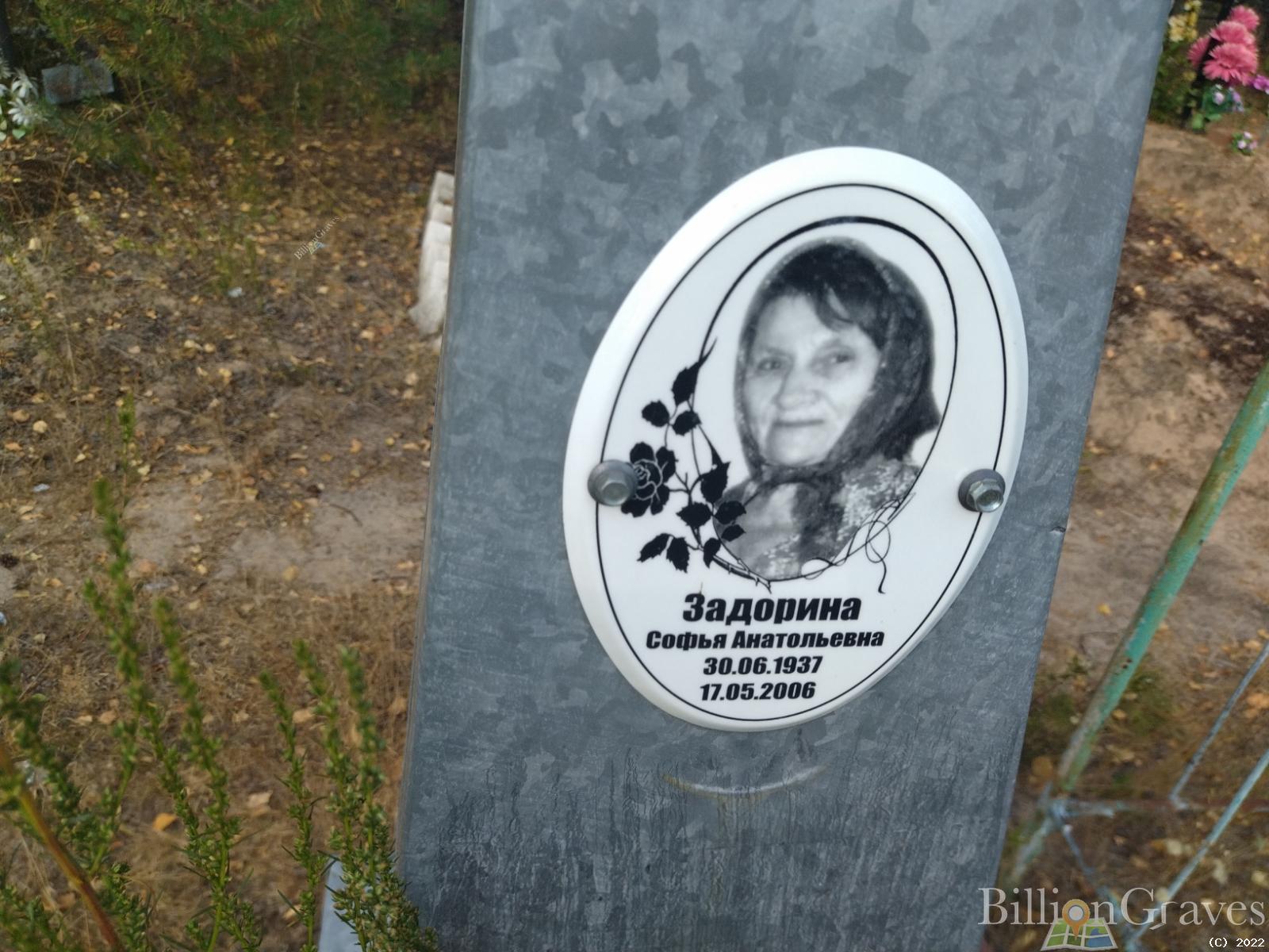 Задорина Софья Анатольевна