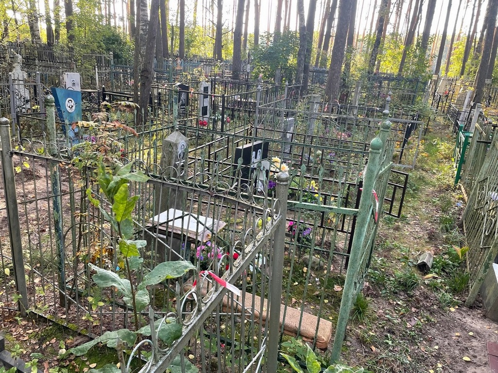 Казанова Ксенья Николаевна