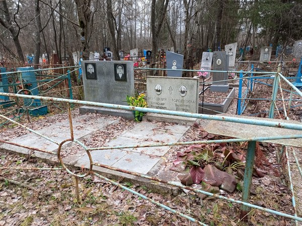 Бородулин Геннадий Александрович