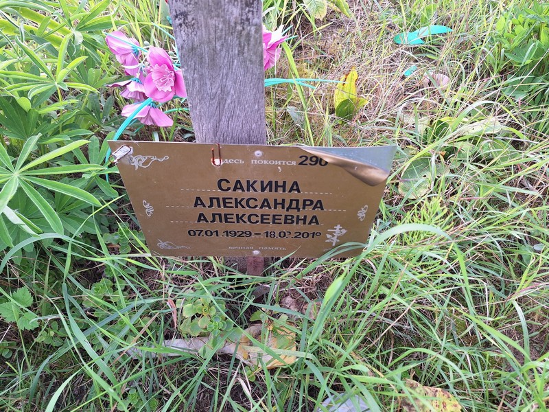 Сакина Александра Алексеевна