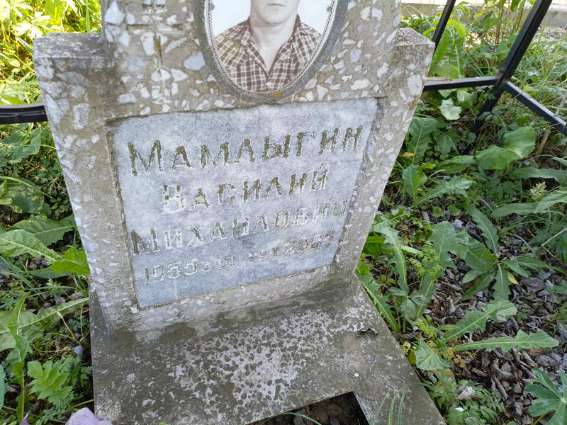 Мамлыгин
