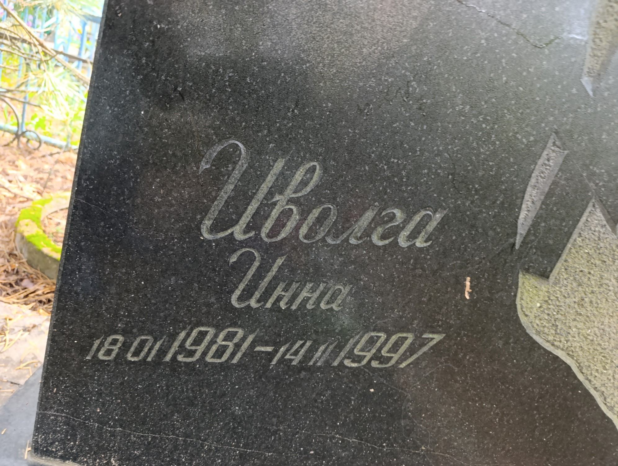 Иволга Инна
