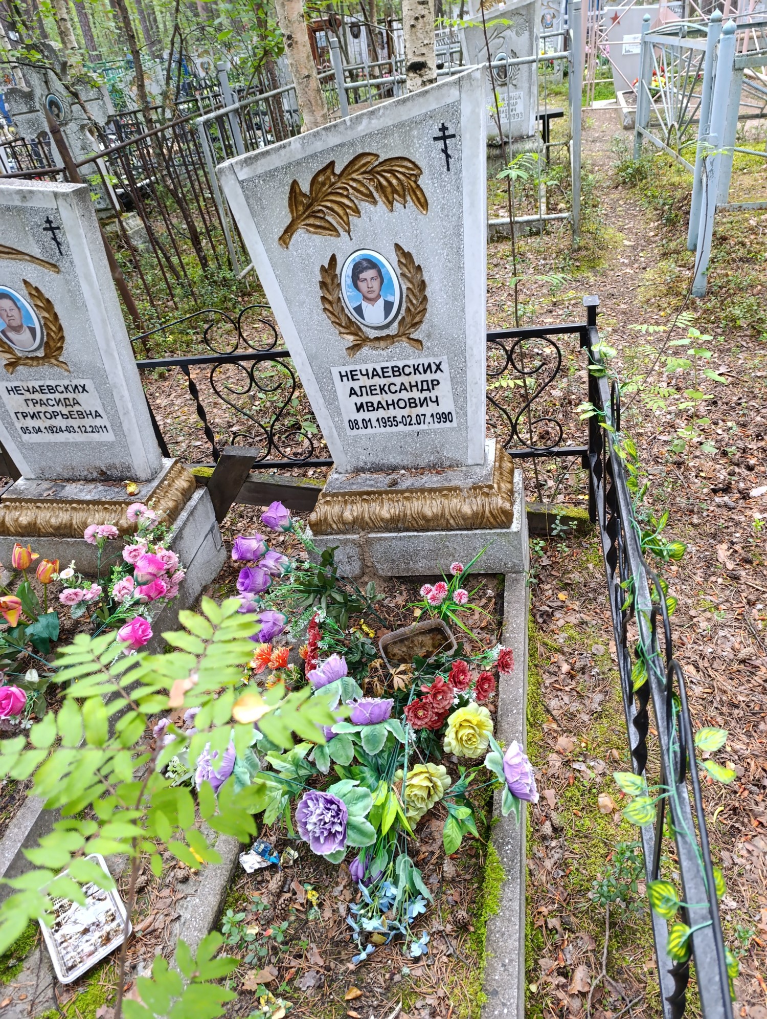 Нечаевских Александр Иванович