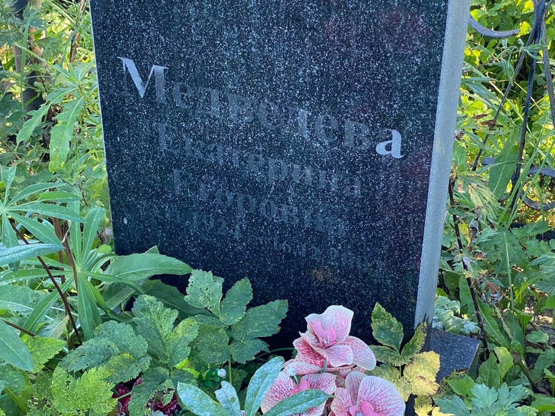 Медведева