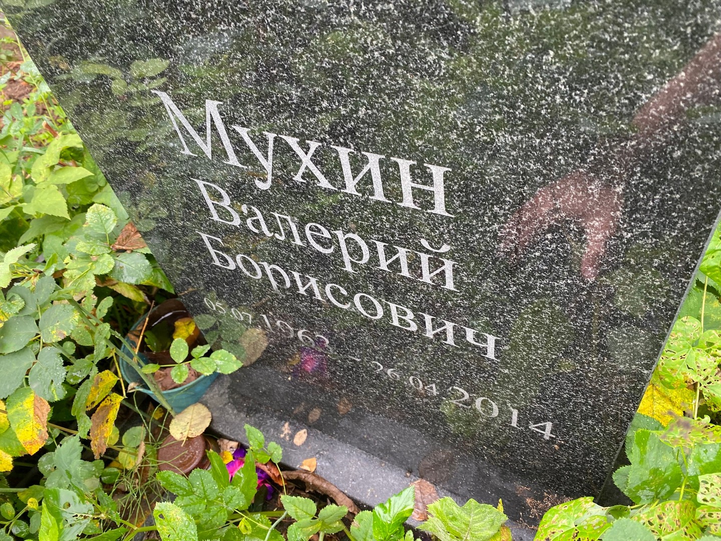 Мухин