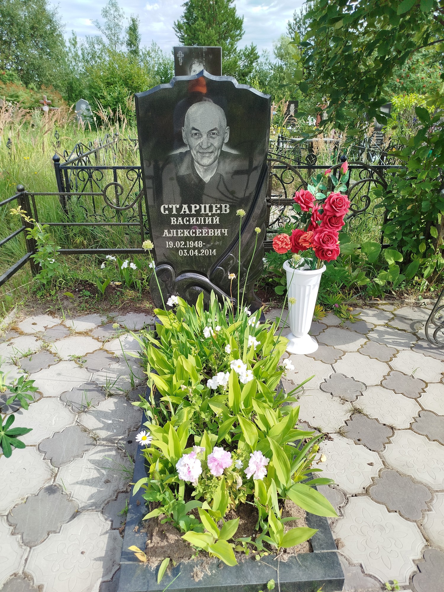 Старцев Василий Алексеевич