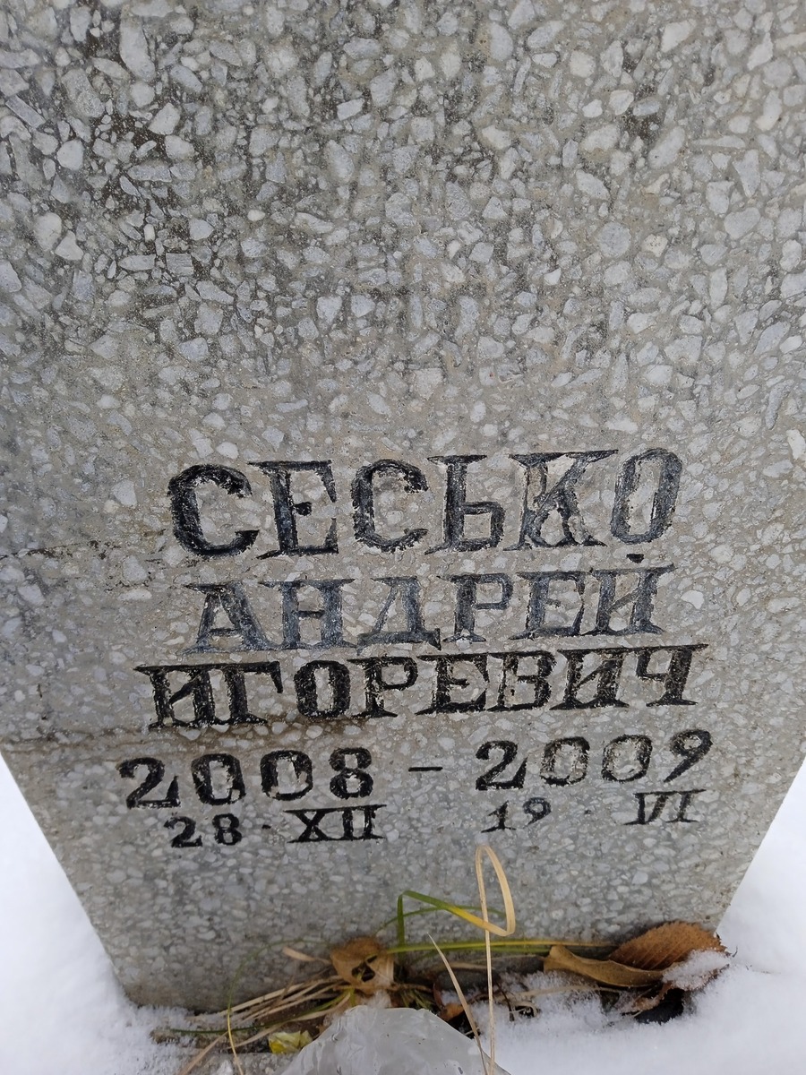 Сесько Андрей Игоревич