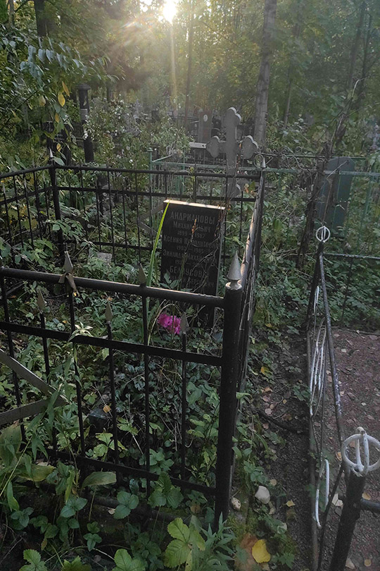 Андрианов Михаил Ильич