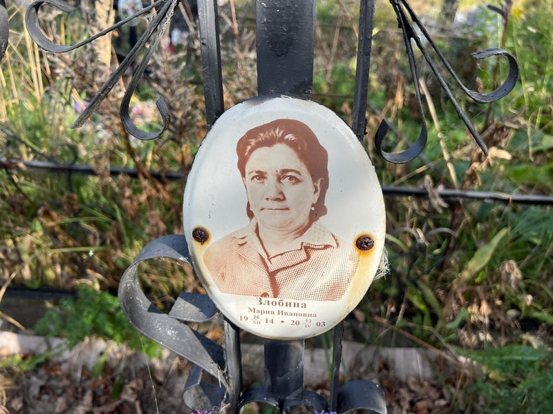Злобина
