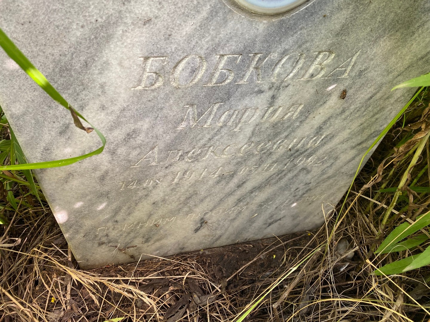 Бобкова