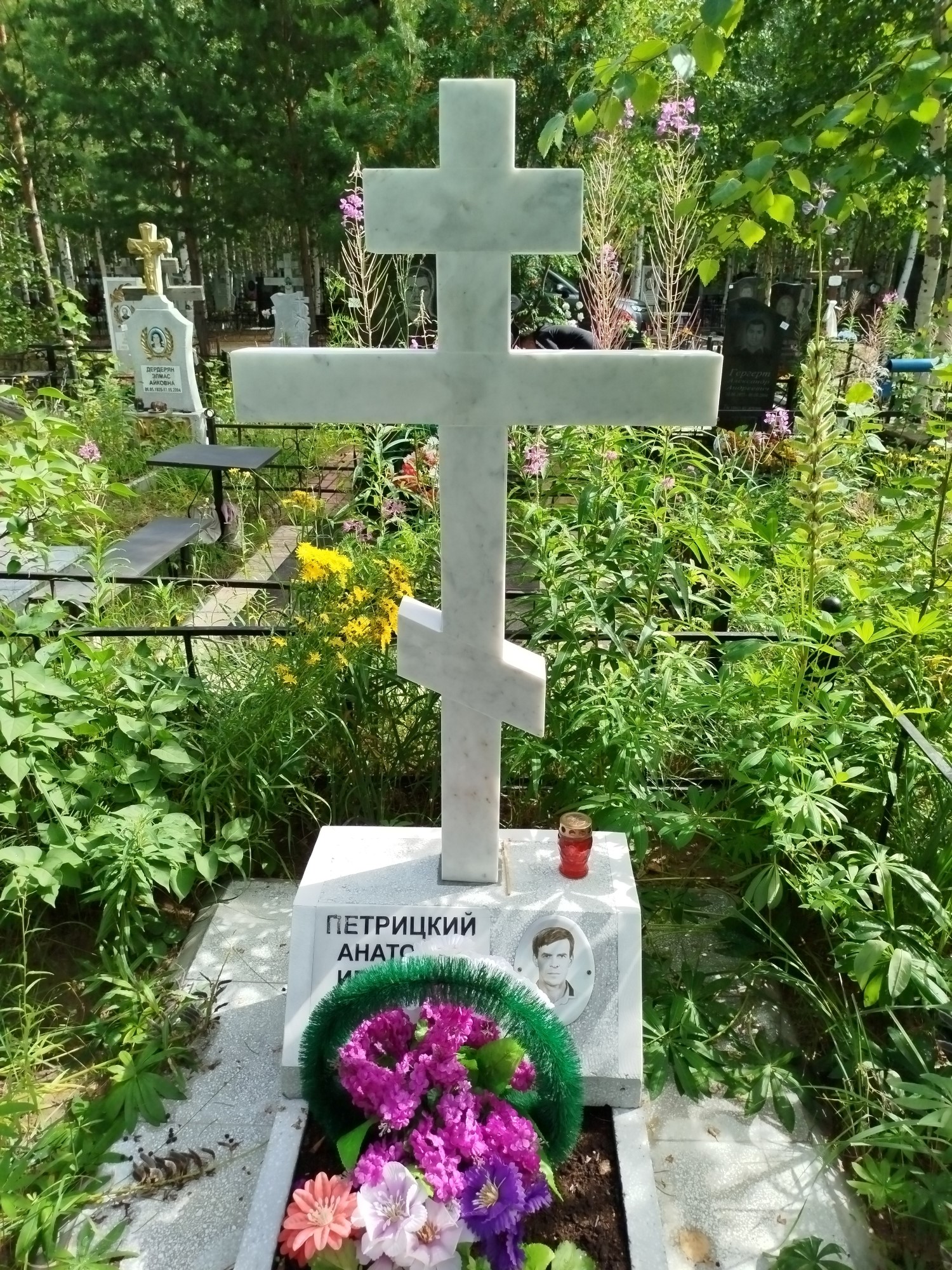 Петрицкий Анатолий Игоревич