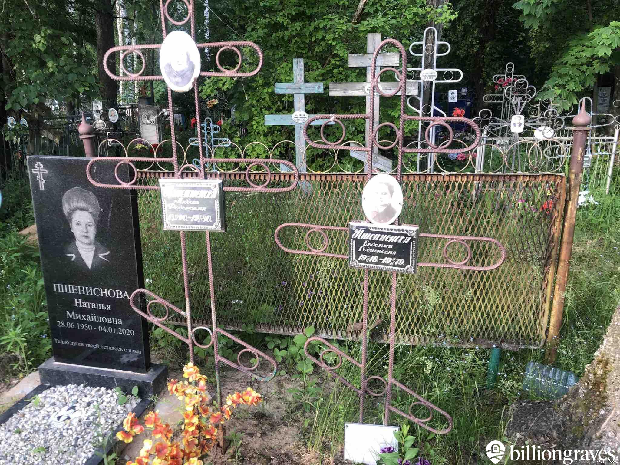 Пшениснова Евдокия Родионовна