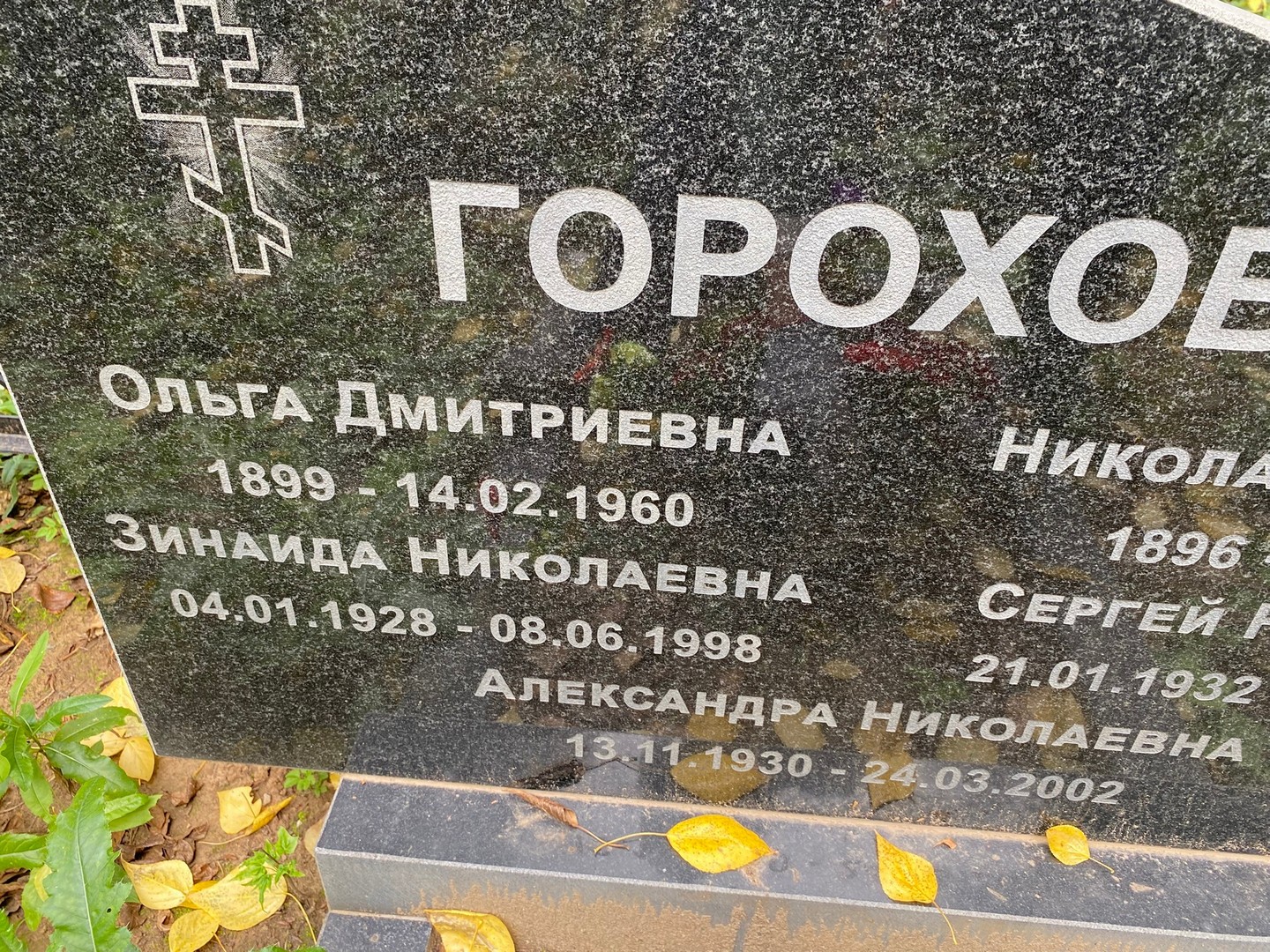 Горохова