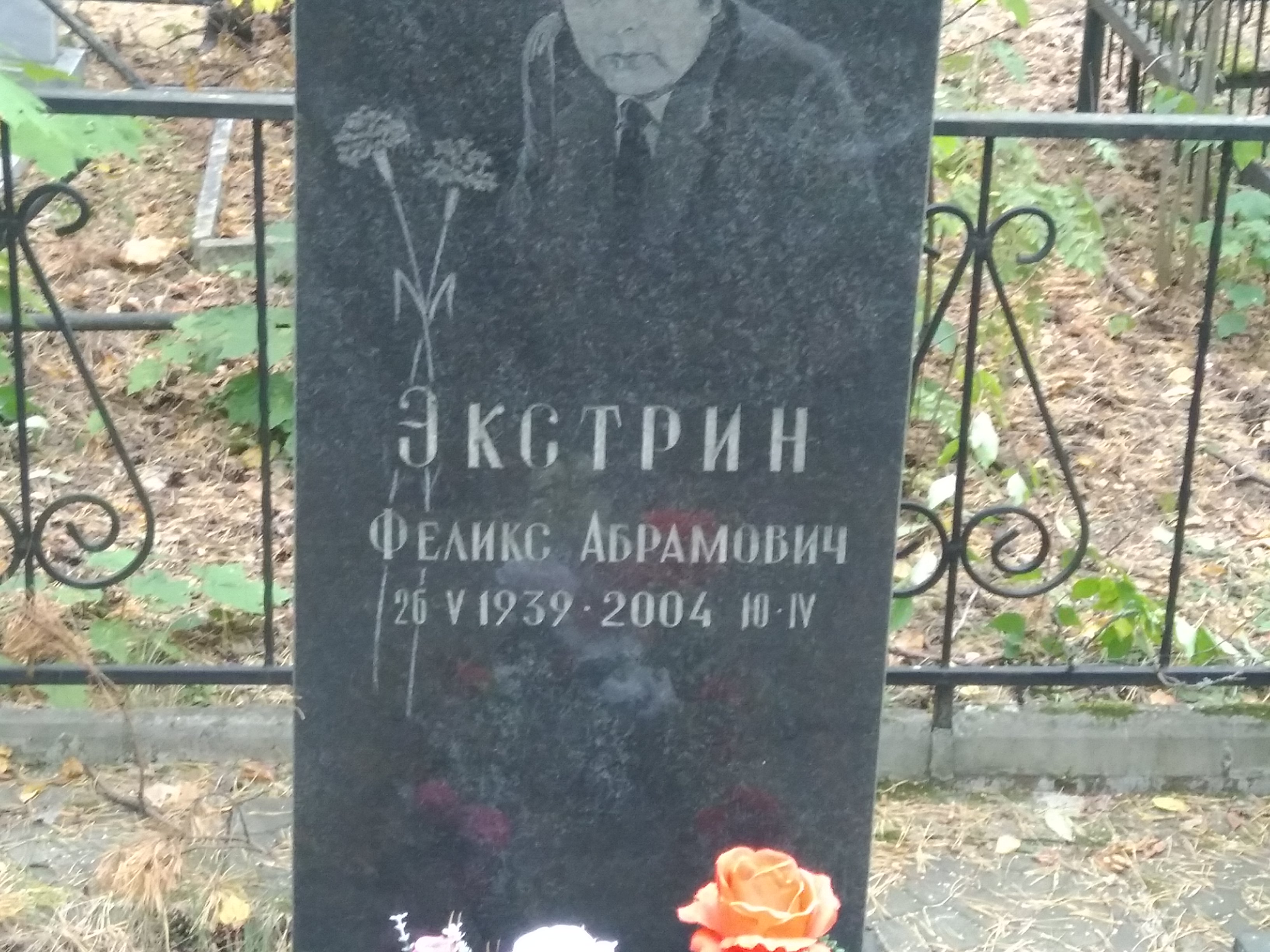 Экстрин Феликс Абрамович
