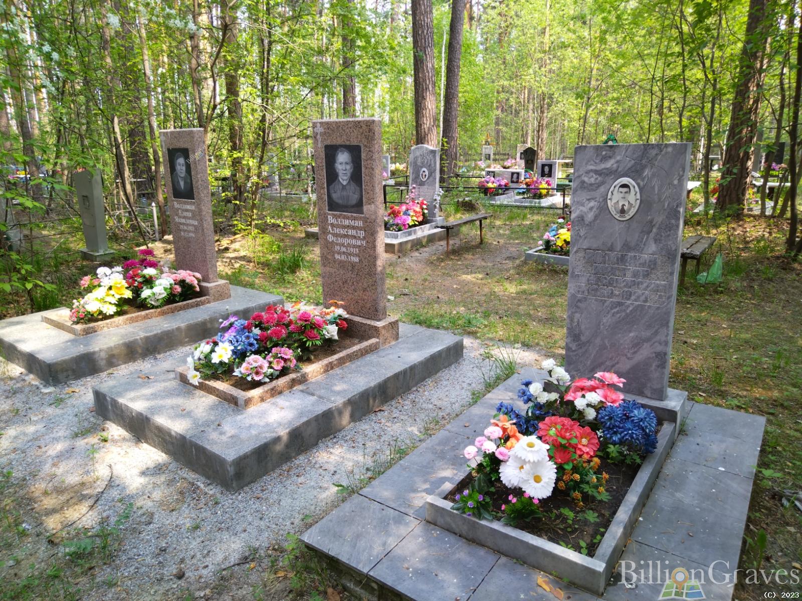 Волдиман Виктор Александрович