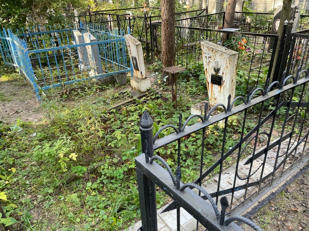 Сабынина Дарья Петровна