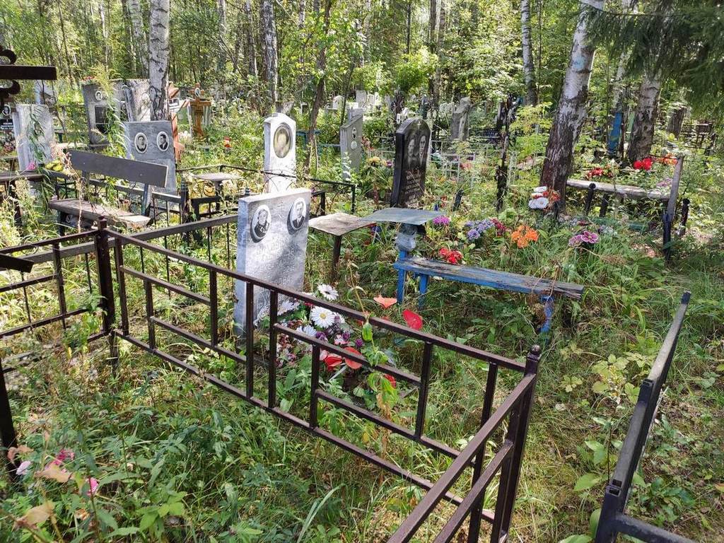 Виховский Александр Александрович