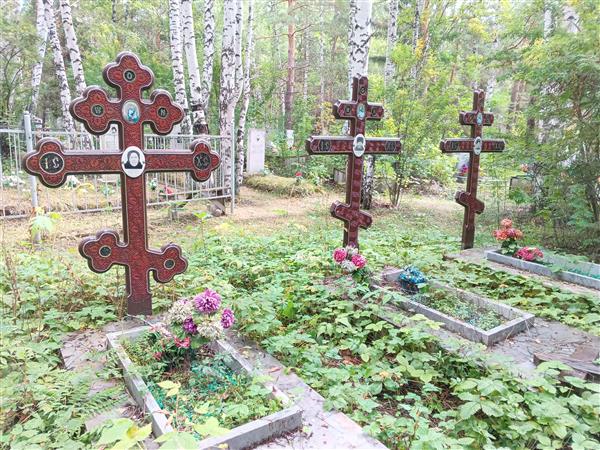 Плюснин Алексей