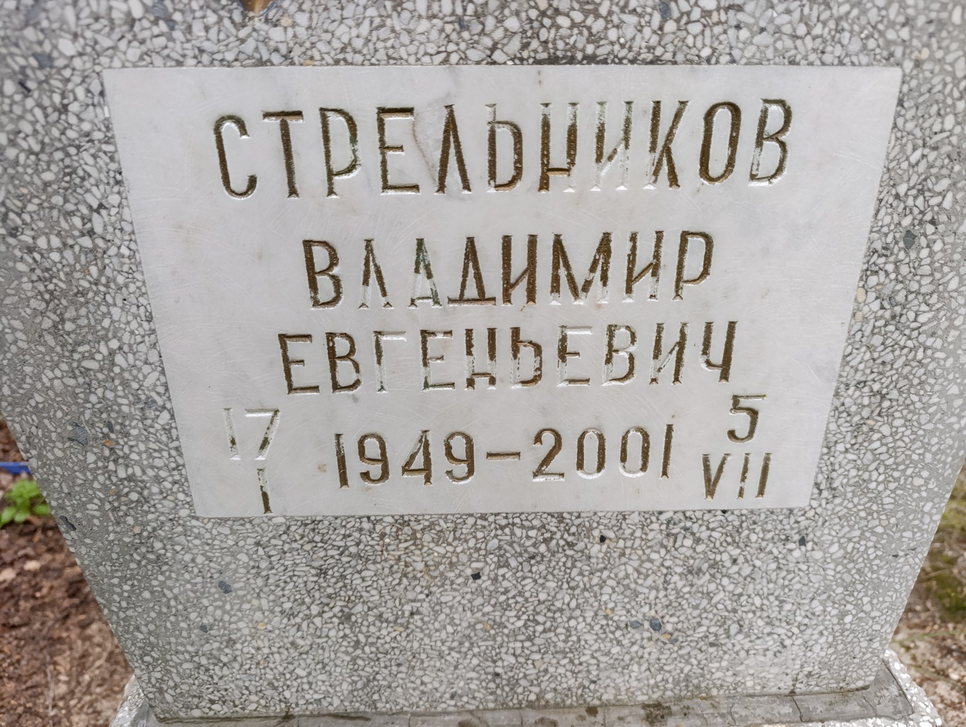 Стрельников Владимир Евгеньевич