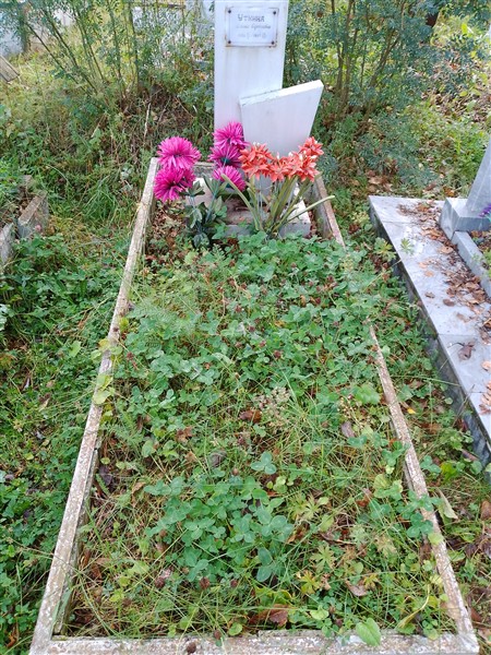 Уткина Елена Сергеевна