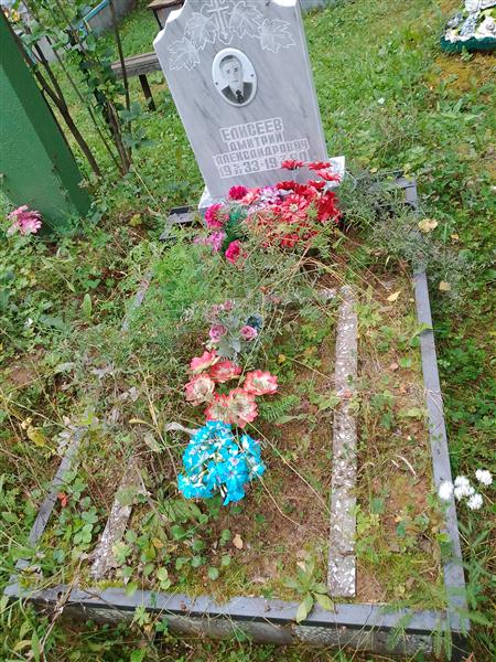 Елисеев Дмитрий Александрович