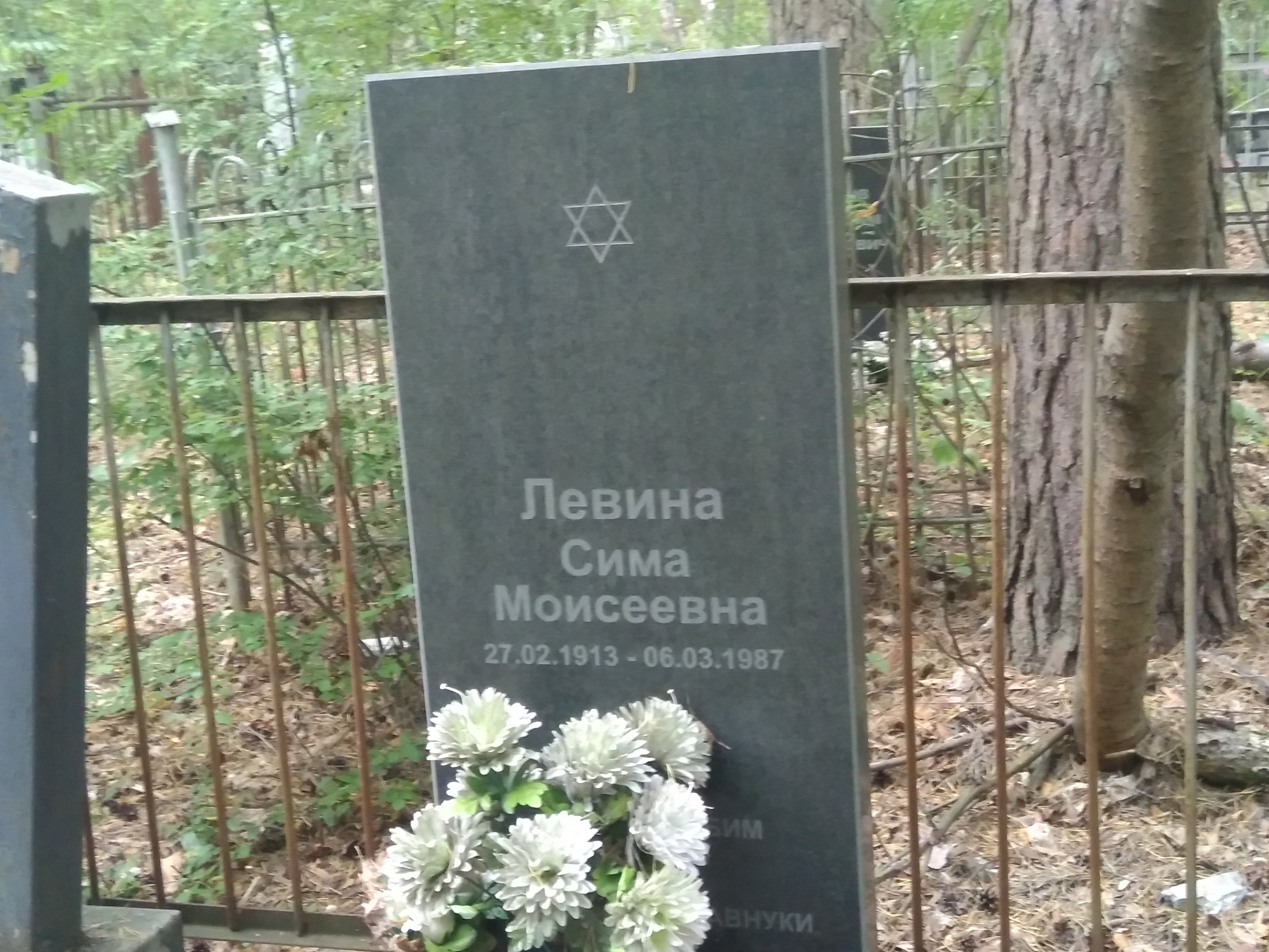 Левина Сима Моисеевна