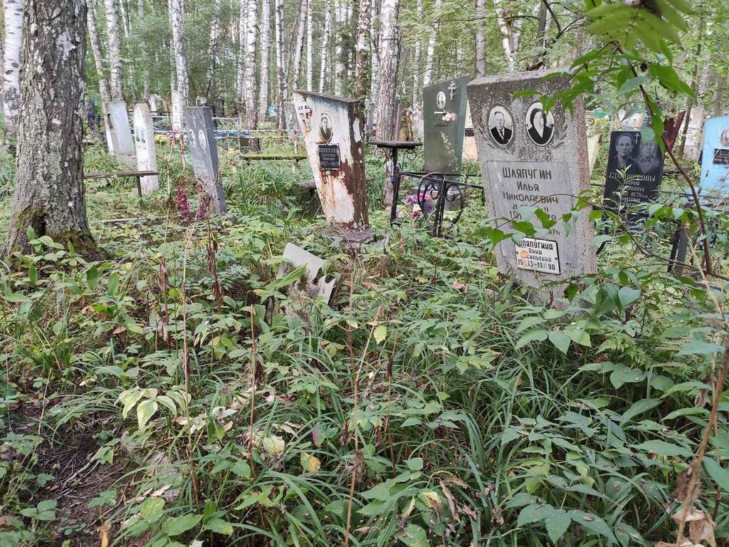 Шляпугин Илья Николаевич