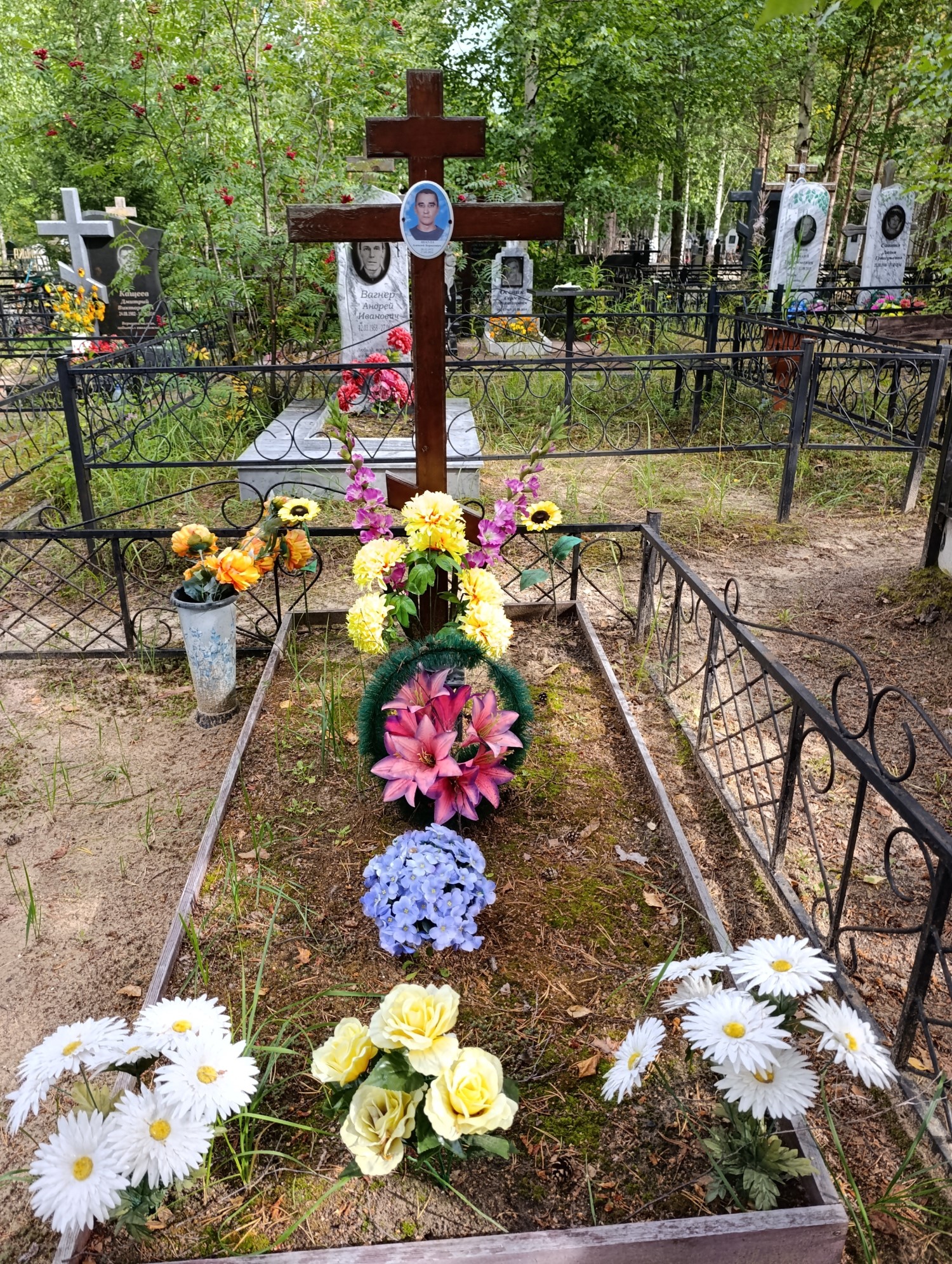Шаула Алексей Борисович