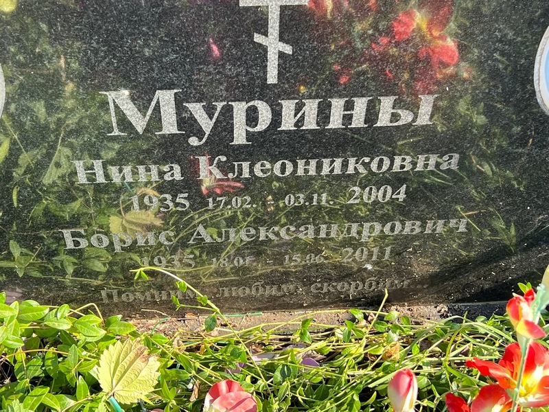 Мурина