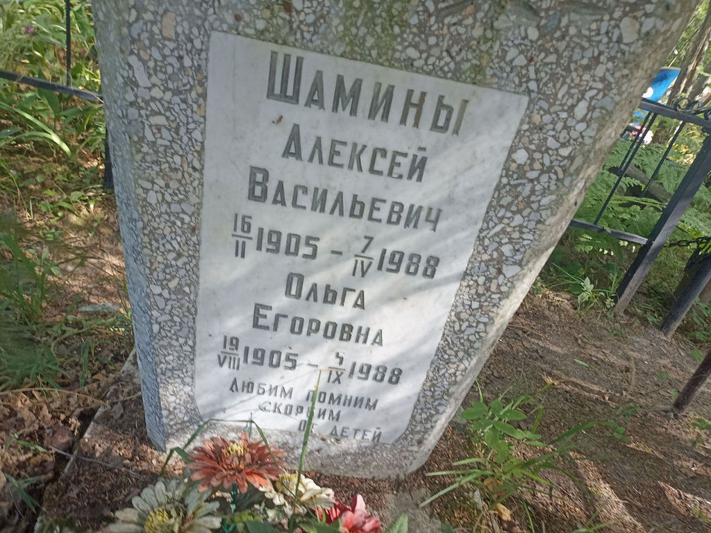 Шамин Алексей Васильевич