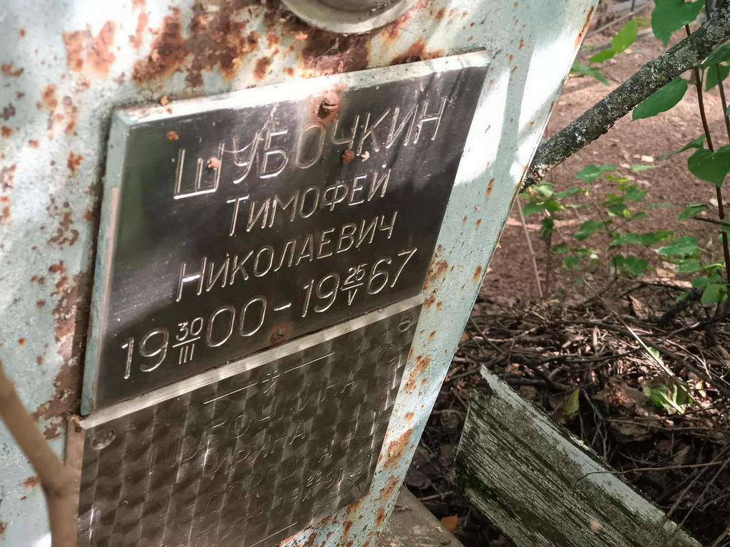Шубочкин Тимофей Николаевич