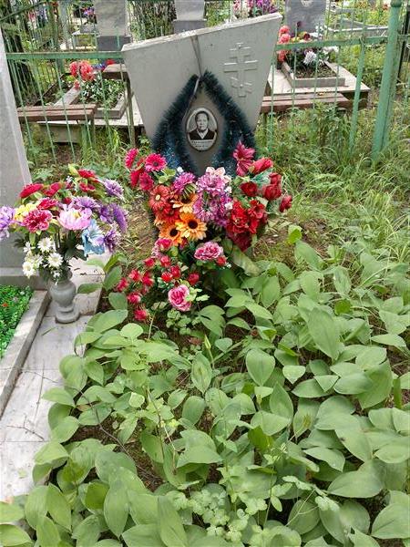 Тагильцева Анна Андреевна