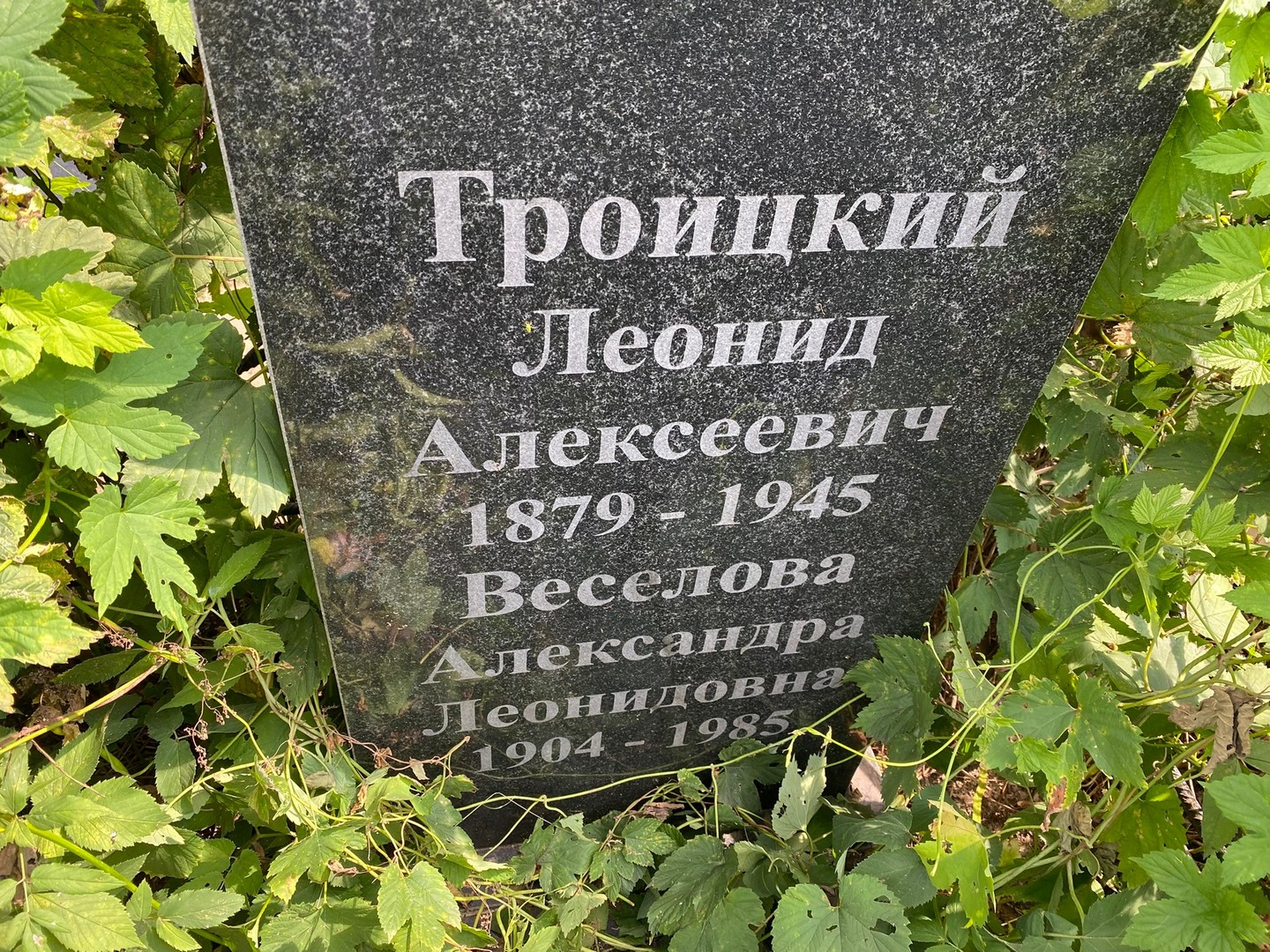 Троицкий