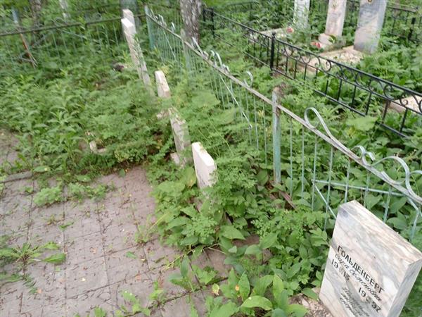 Гольденберг Сара Семеновна