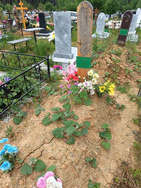 Ашурова Надежда Александровна