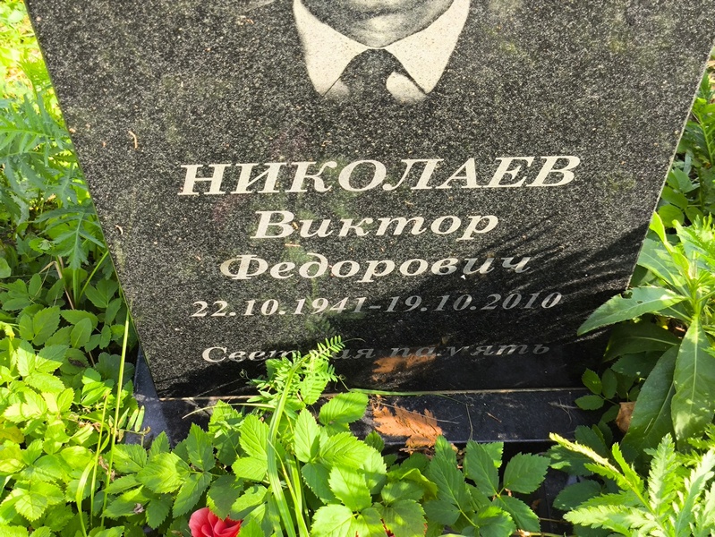 Николаев