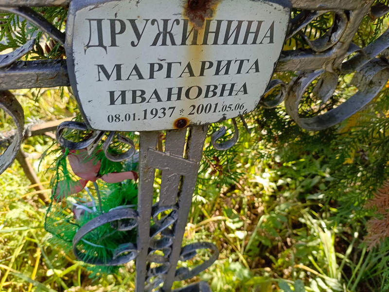 Дружинина