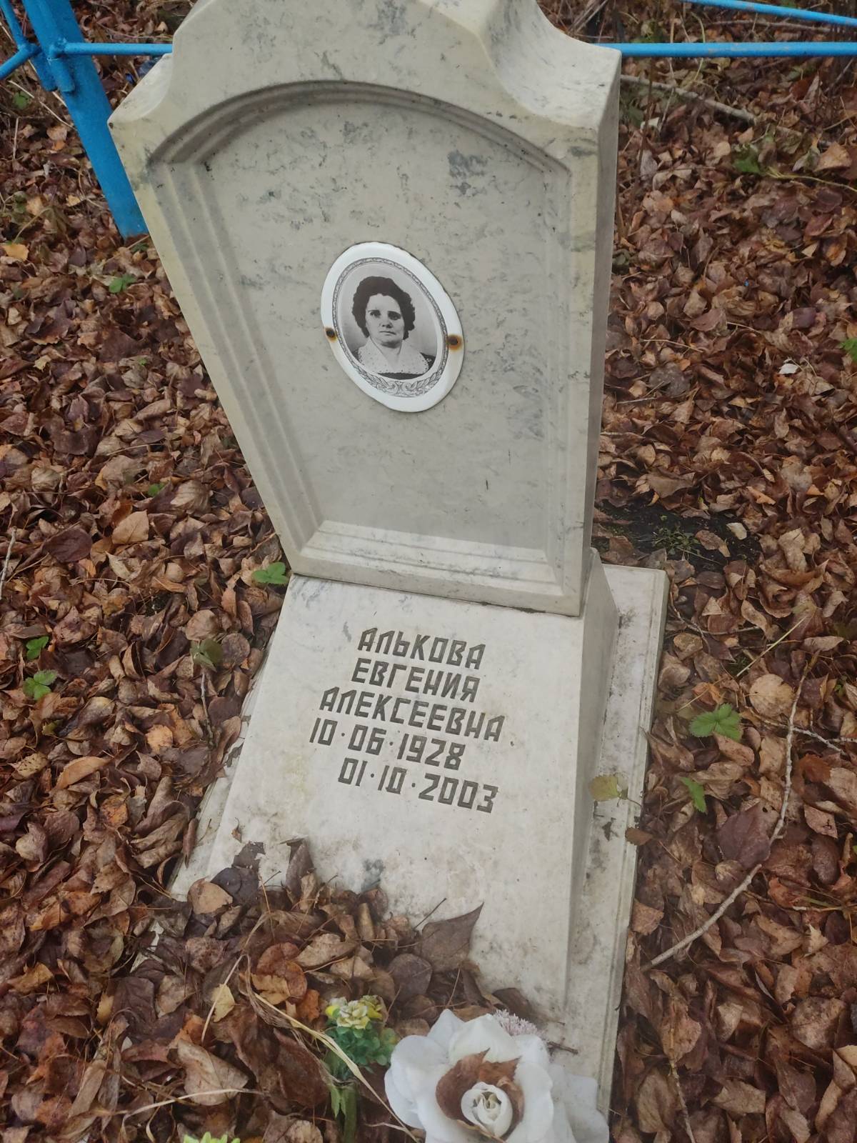 Алькова Евгения Алексеевна