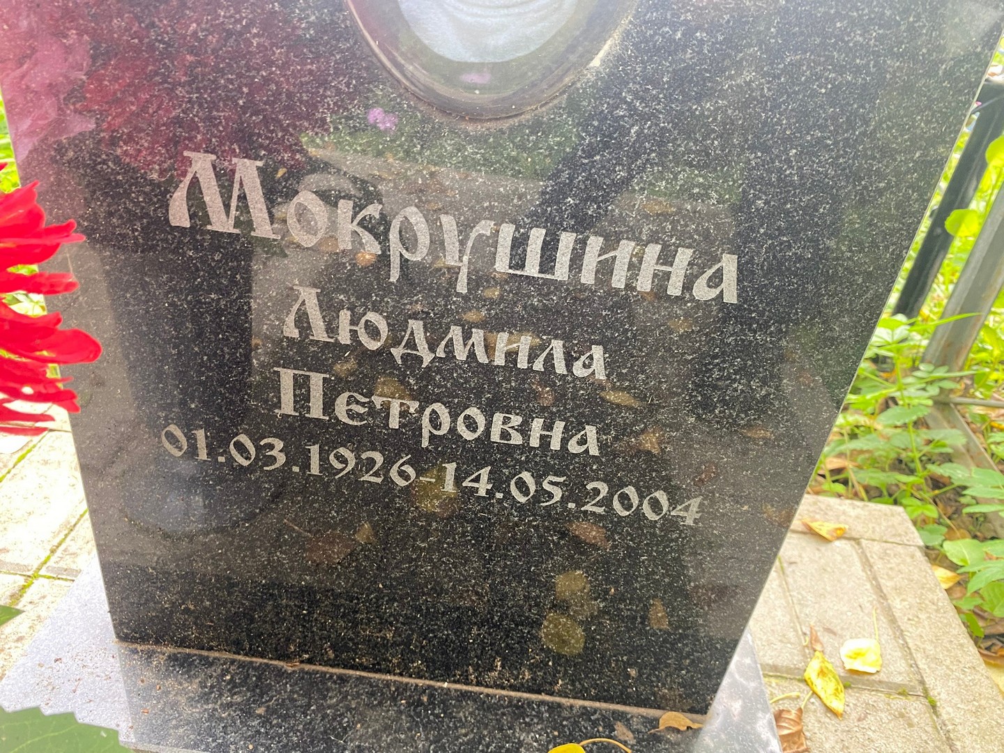 Мокрушина