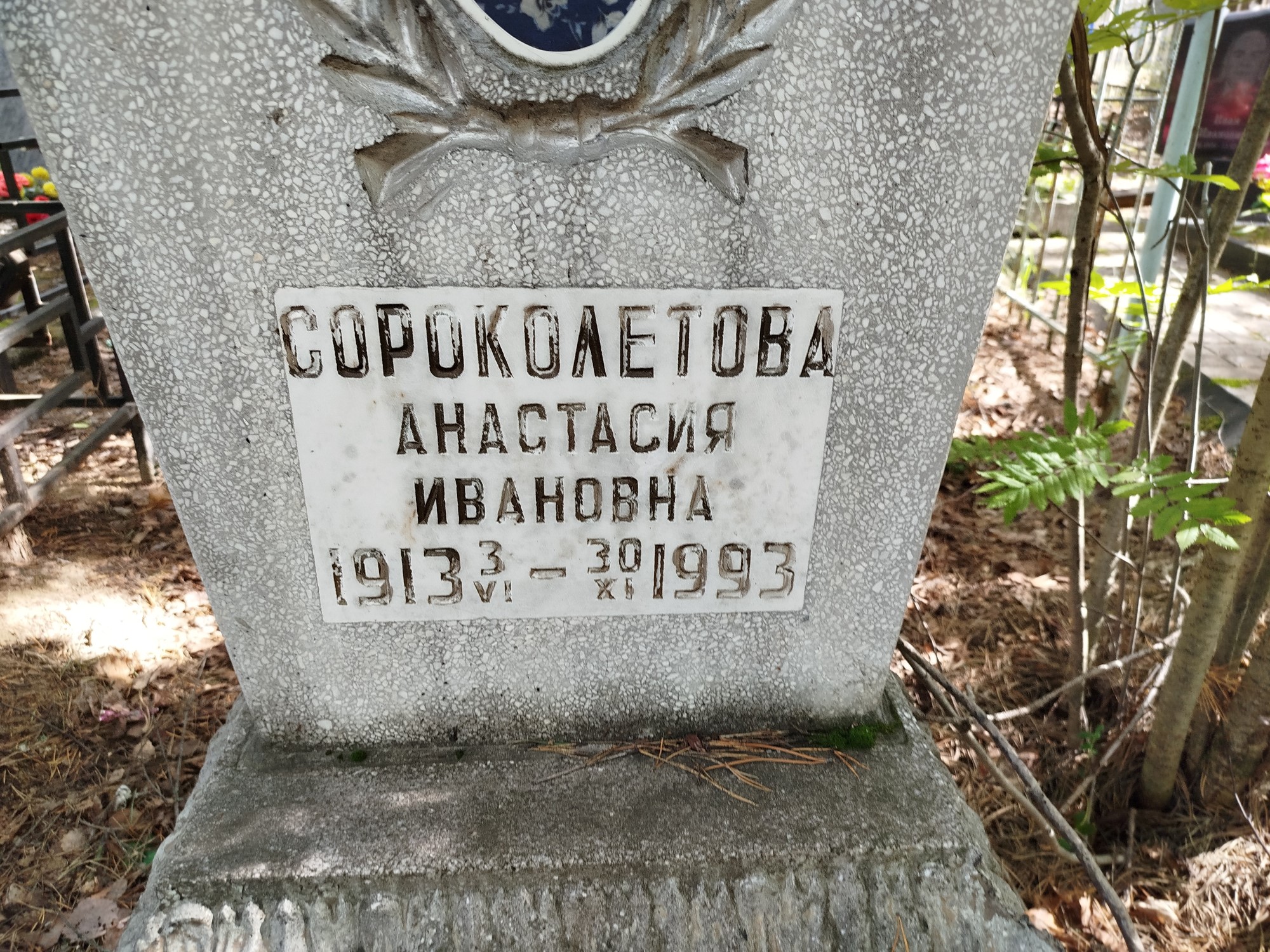 Сороколетова Анастасия Ивановна