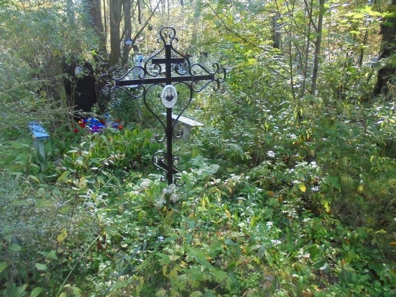 Шелудяков Дмитрий Павлович