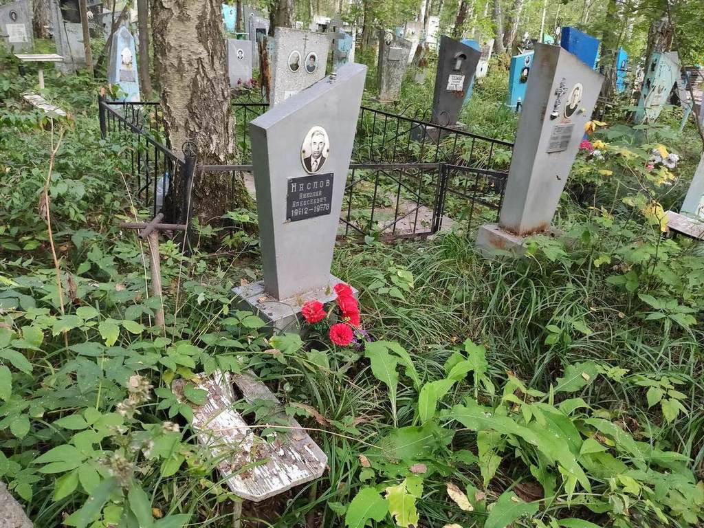 Маслов Николай Алексеевич