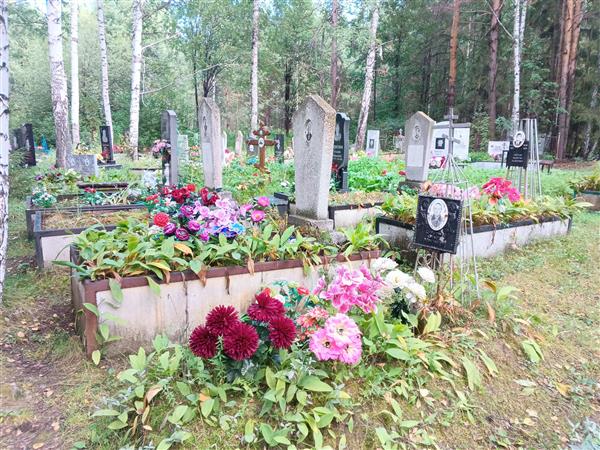Сиротина Александра Ивановна