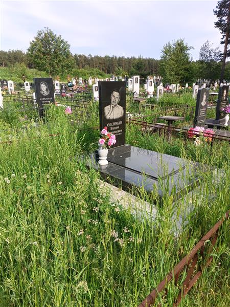 Амеличкин Вадим Николаевич